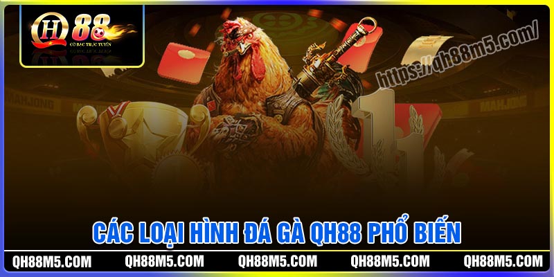 Các loại hình chơi Đá gà QH88 phổ biến nhất